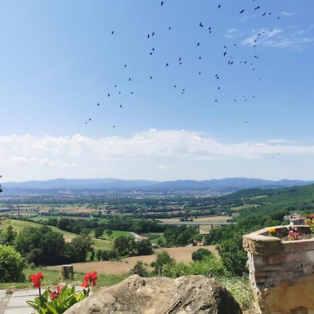 Al Podere Del Nonno Romolo サンセポルクロ エクステリア 写真