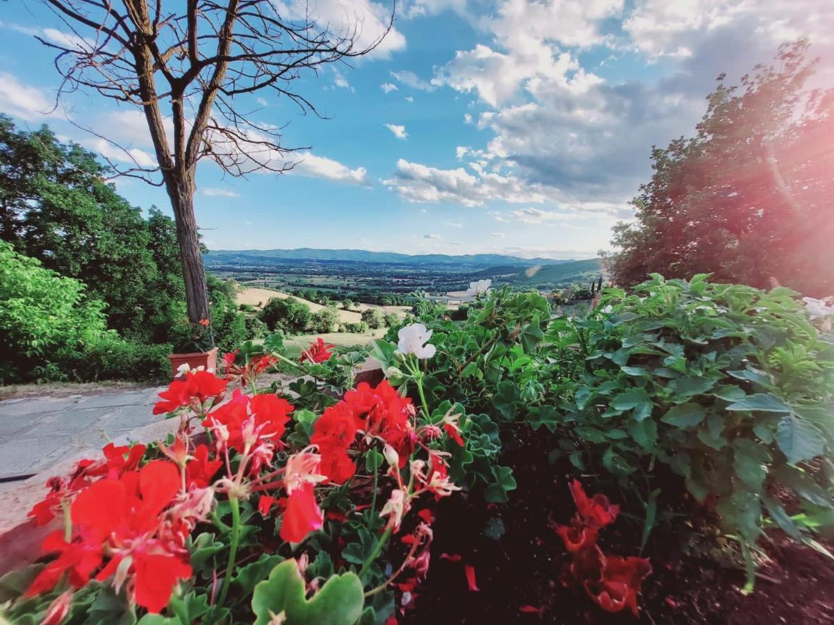 Al Podere Del Nonno Romolo サンセポルクロ エクステリア 写真