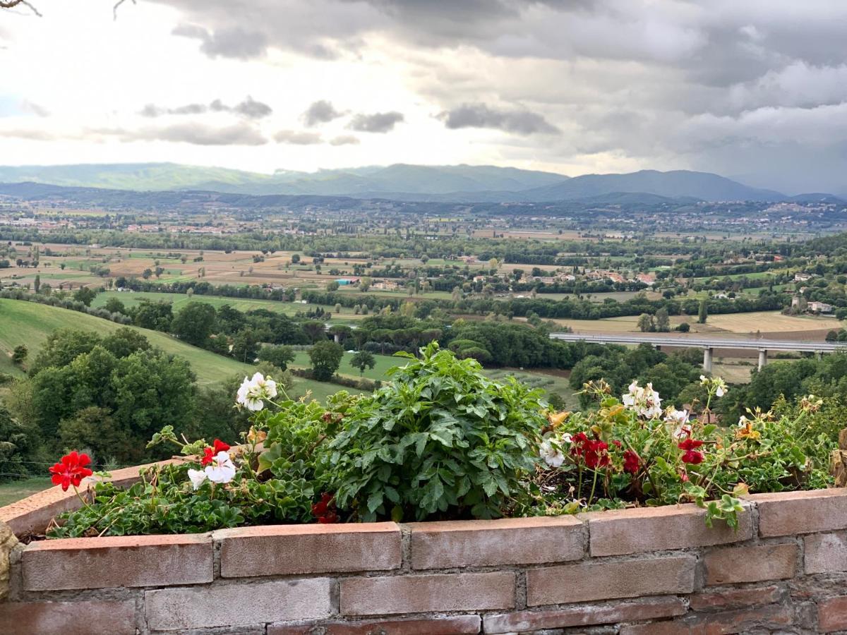 Al Podere Del Nonno Romolo サンセポルクロ エクステリア 写真