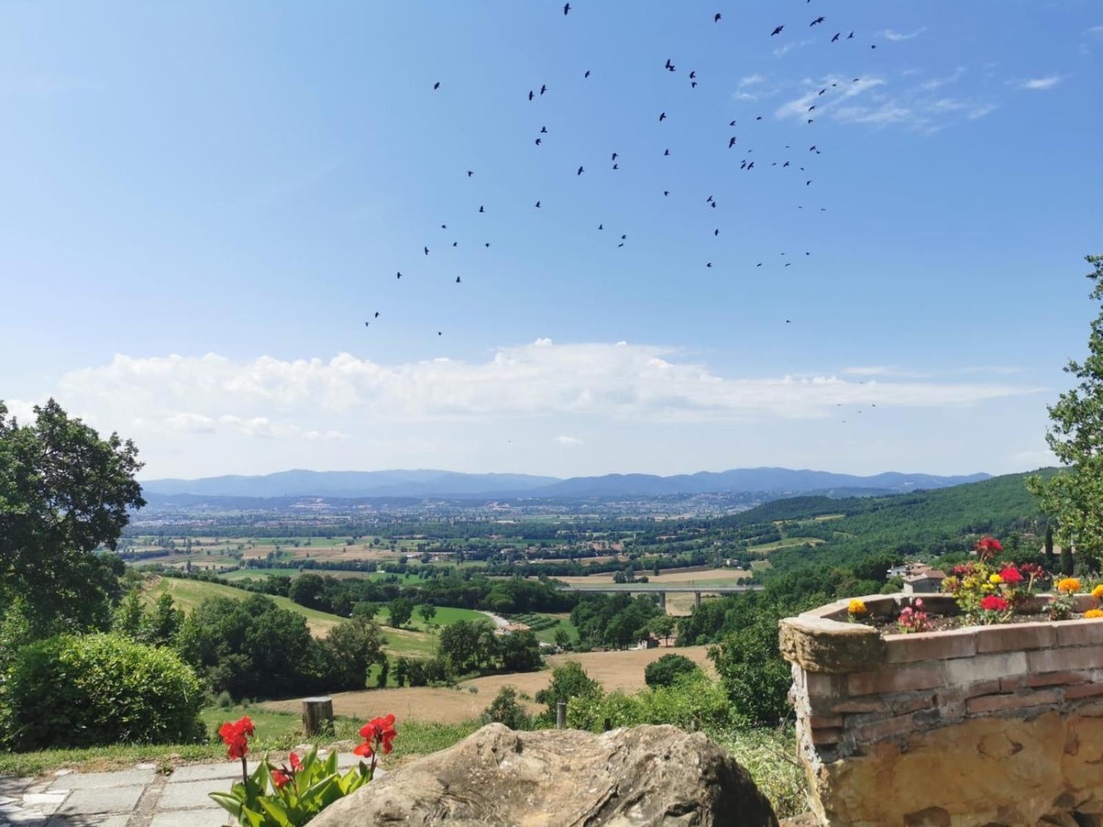 Al Podere Del Nonno Romolo サンセポルクロ エクステリア 写真